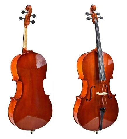 Cello Tayste C10 4/4