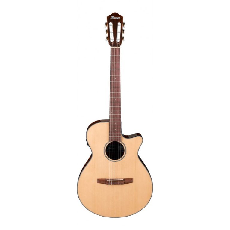 Guitarra Electroacústica Ibanez AEG-50N NT