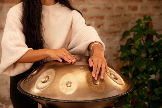 Handpan Meinl HPSTL100