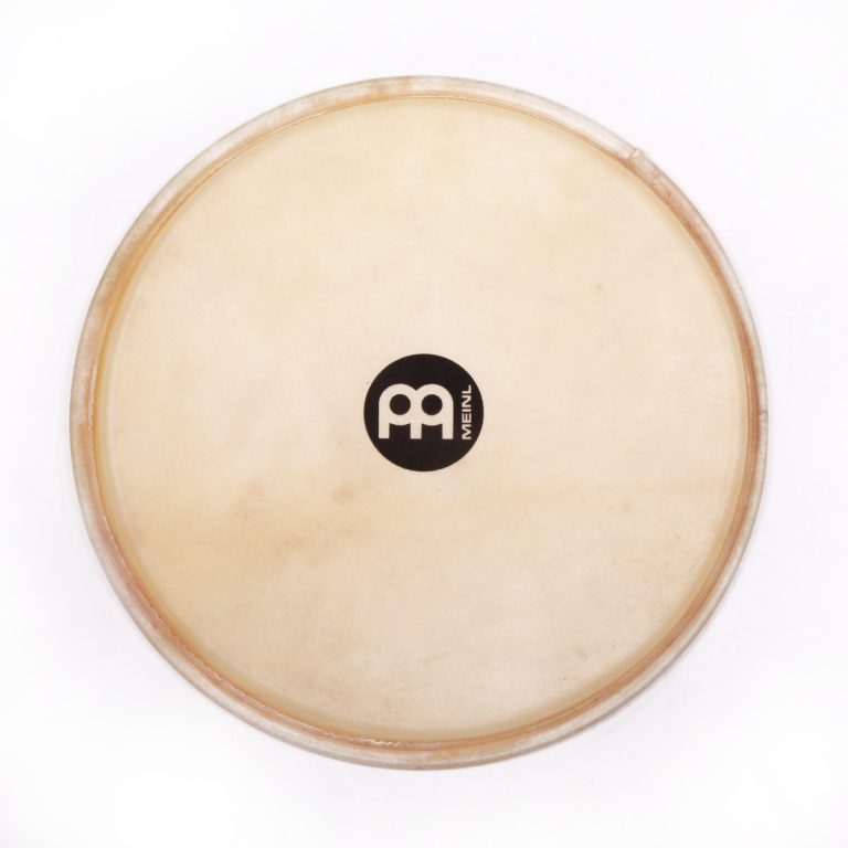 parche-p-djembe-meinl-12-quot-ts-g-01-1759584330.jpg Parche para Djembe Meinl 12" TS-G-01