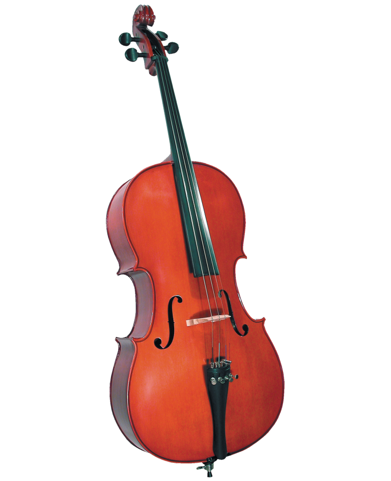 Violoncello Cremona SC 100