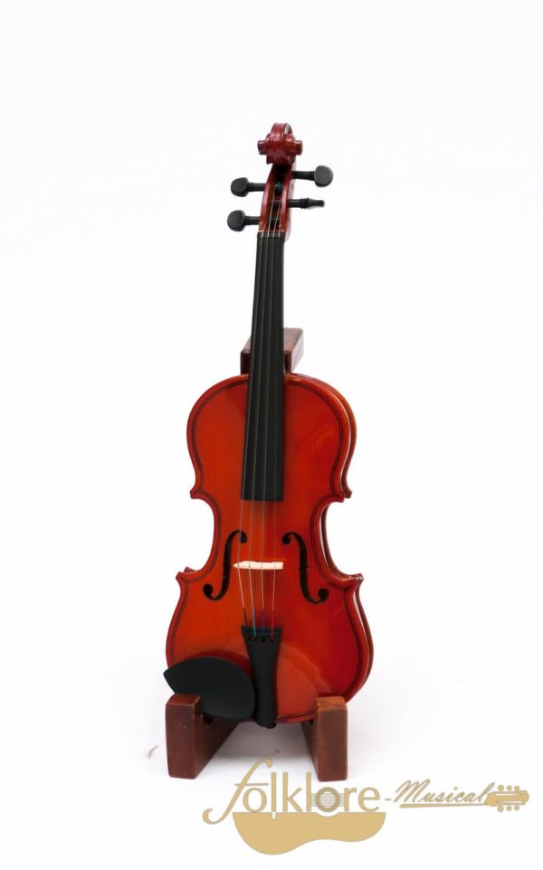 dsc_0009.jpg Violín Freeman 4/4 FRV50 NT