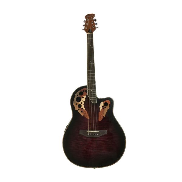 Guitarra Electroacústica Freeman Hojas