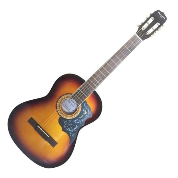 Guitarra Electroacústica Vizcaya ARFG94 SB