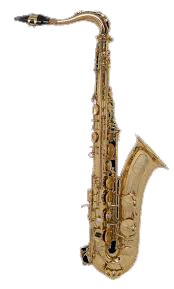 Saxo Alto IDA Maria Grassi GR ACAS300G